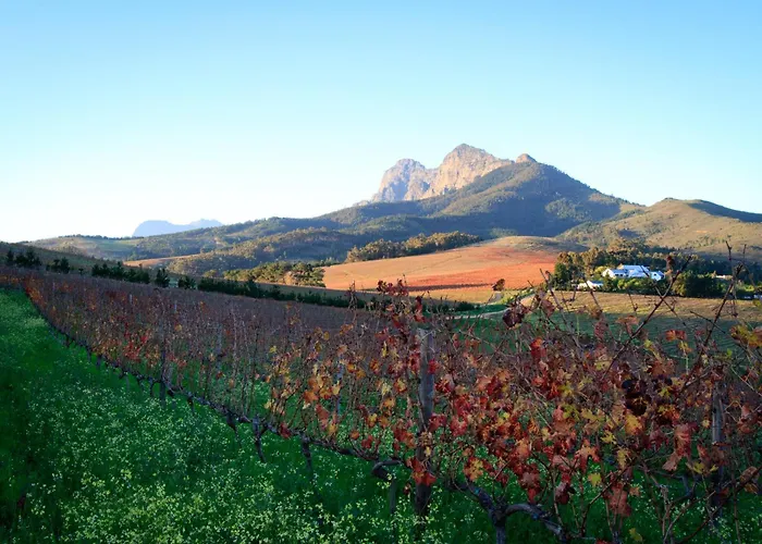 Familiehotel: Marianne Wine Estate